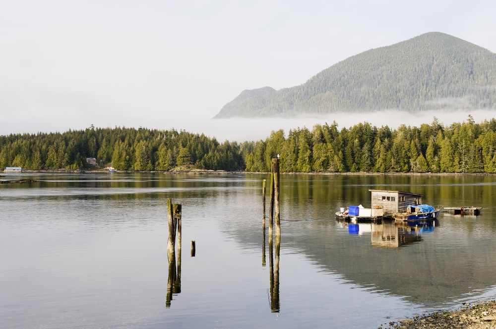 View of Nature at the Pacific Rim National Park Reserve