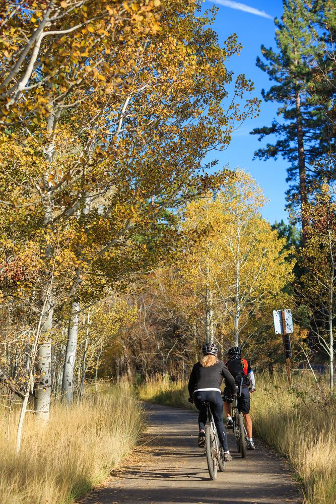 Two people cycling around Lake Tahoe
