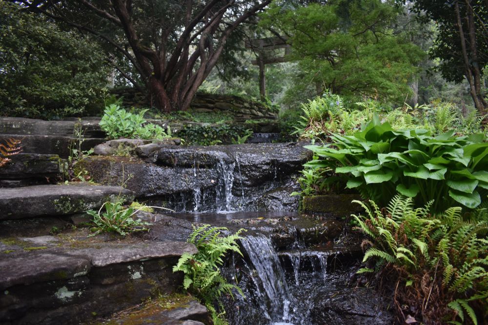 View of Dunaway Gardens