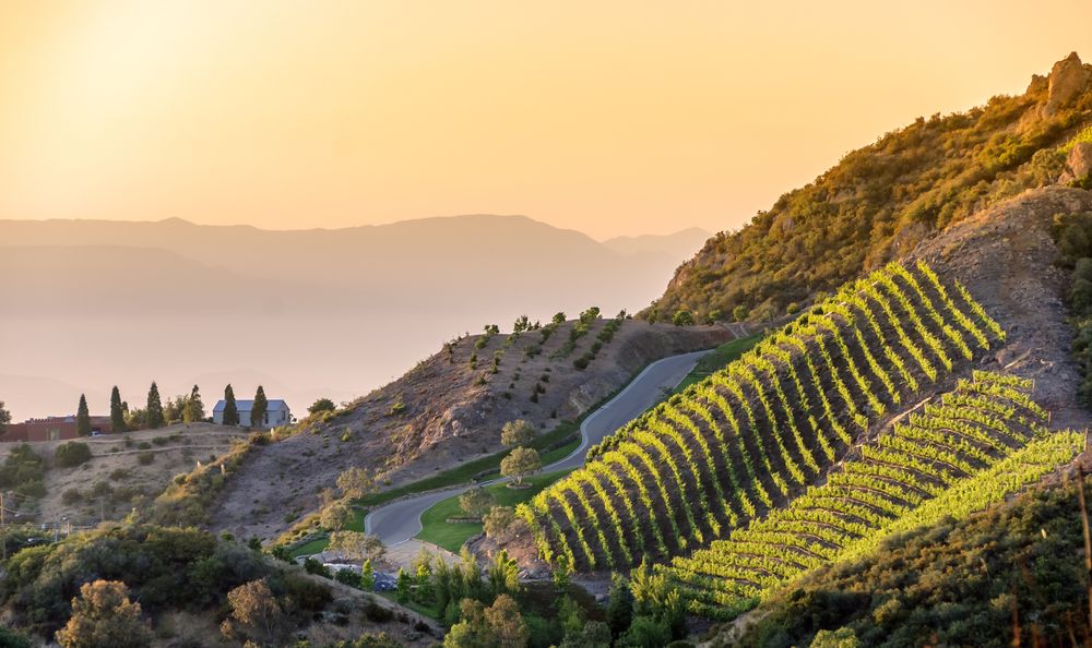 Malibu Wineries