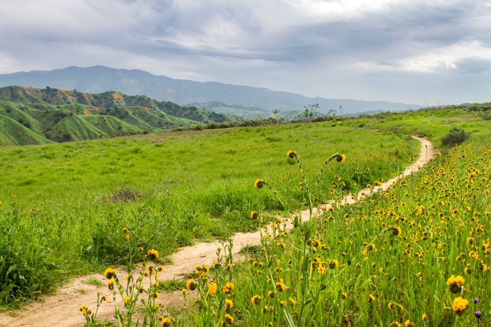 Gorgeous landscape of Chino Hills State Park