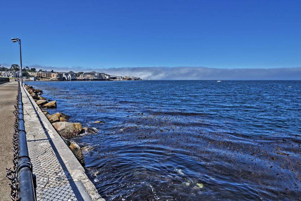The view from Coast Guard Pier
