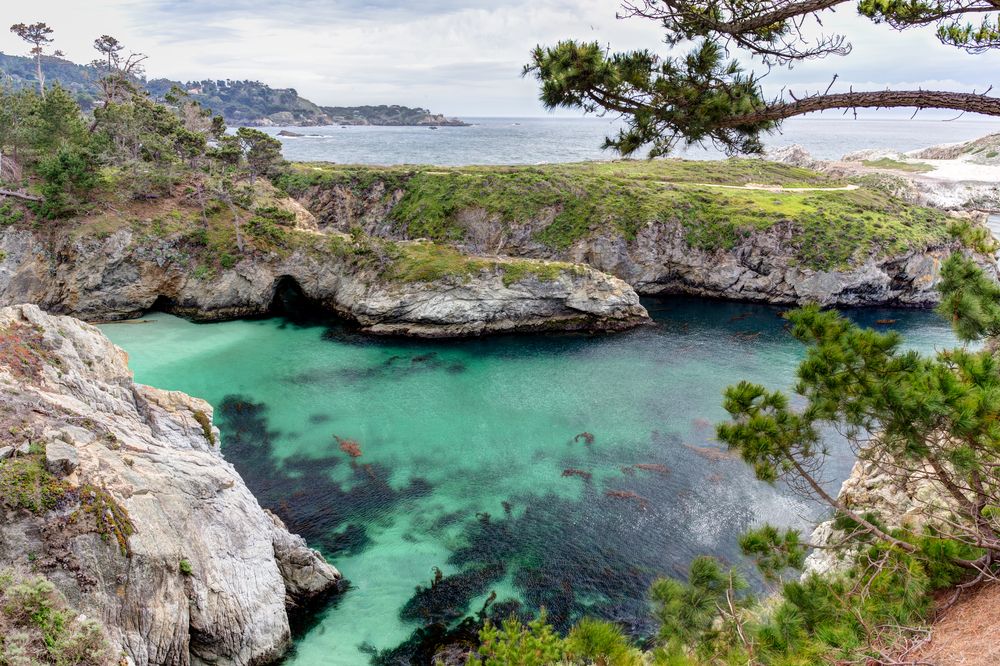 A cove at Point Lobos State Natural Reserve