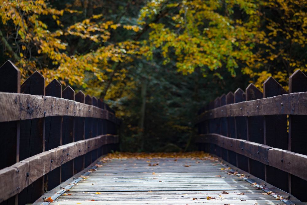 Bridge at Dells of the Eau Claire County Park
