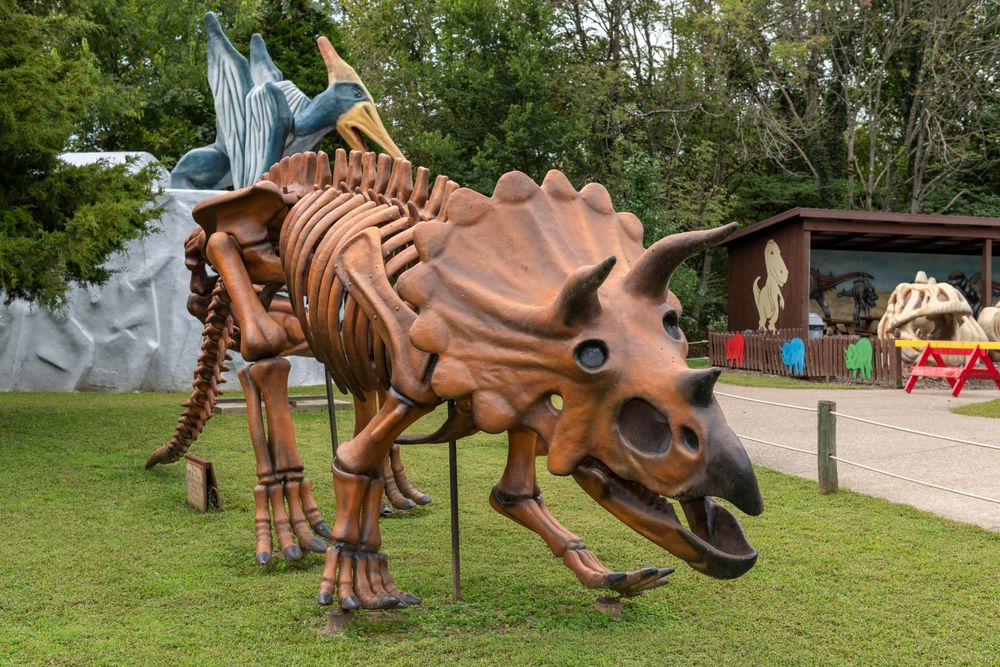 Dinosaur skeleton sculpture at Dinosaur World Kentucky