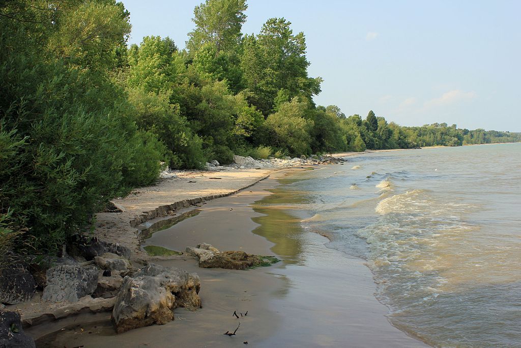 The waters of Fischer Creek Conservation Area