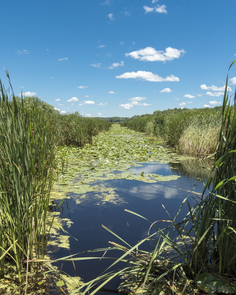 Waters at Moraine Hills State Park