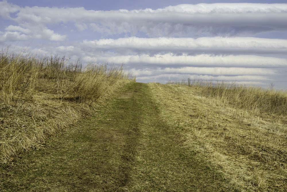 Trail at Pleasant Valley Conservation Area