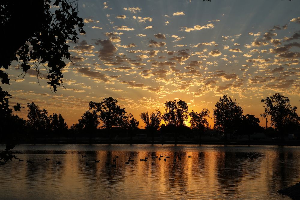 Gorgeous sunset reflecting on Ellis Lake