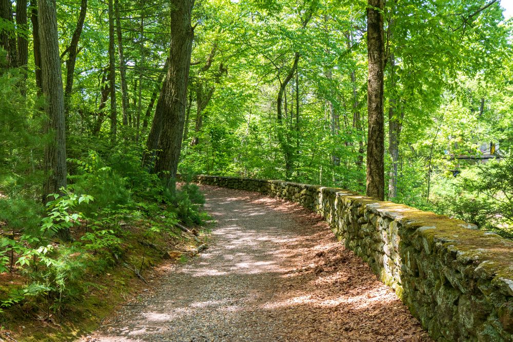 Stonewall trail at Case Mountain Recreational Area