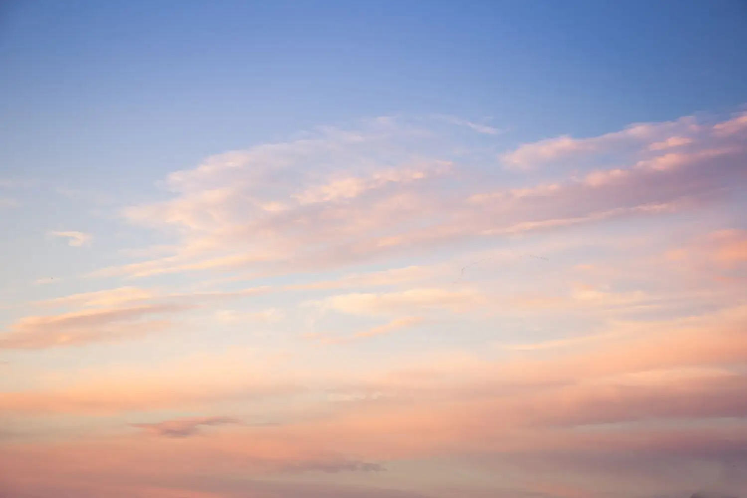 20 Best Things to Do in Mechanicsville, VA