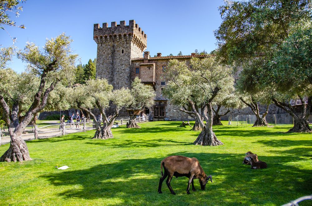 Scenic View of Castello Di Amorosa