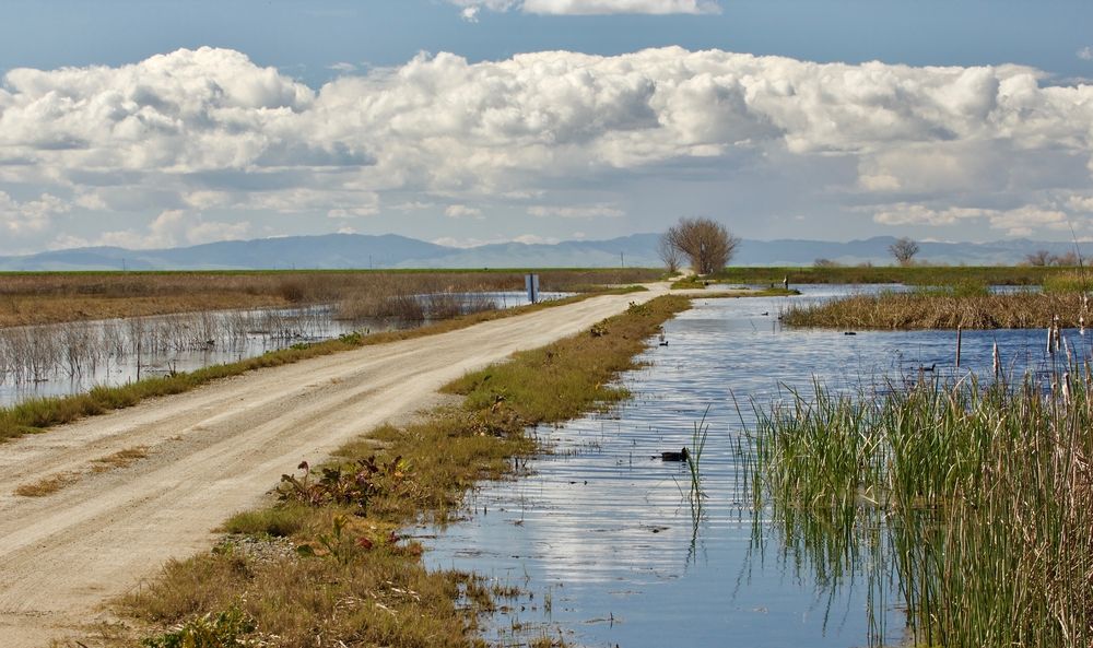 View of Merced National Wildlife Refuge