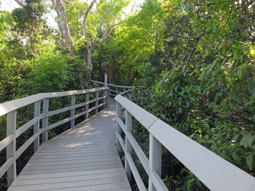 Boardwalk at Fern Forest Nature Center