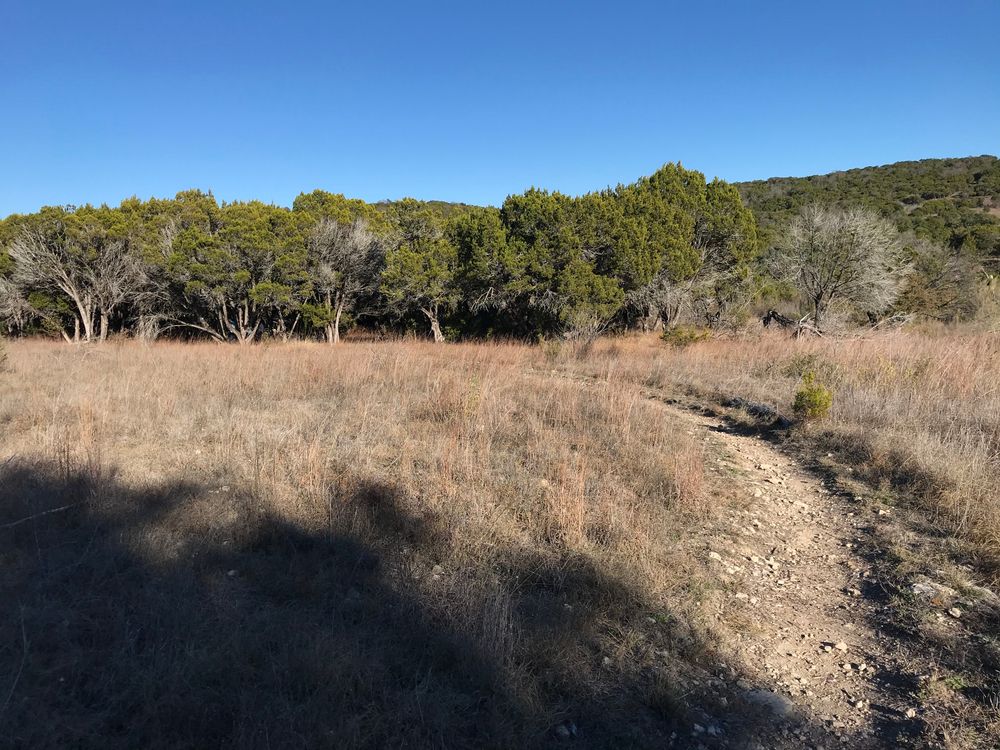 Nature view from Balcones Canyonlands National Wildlife Refuge