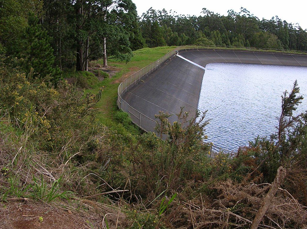 A reservoir at Makawao Forest Reserve