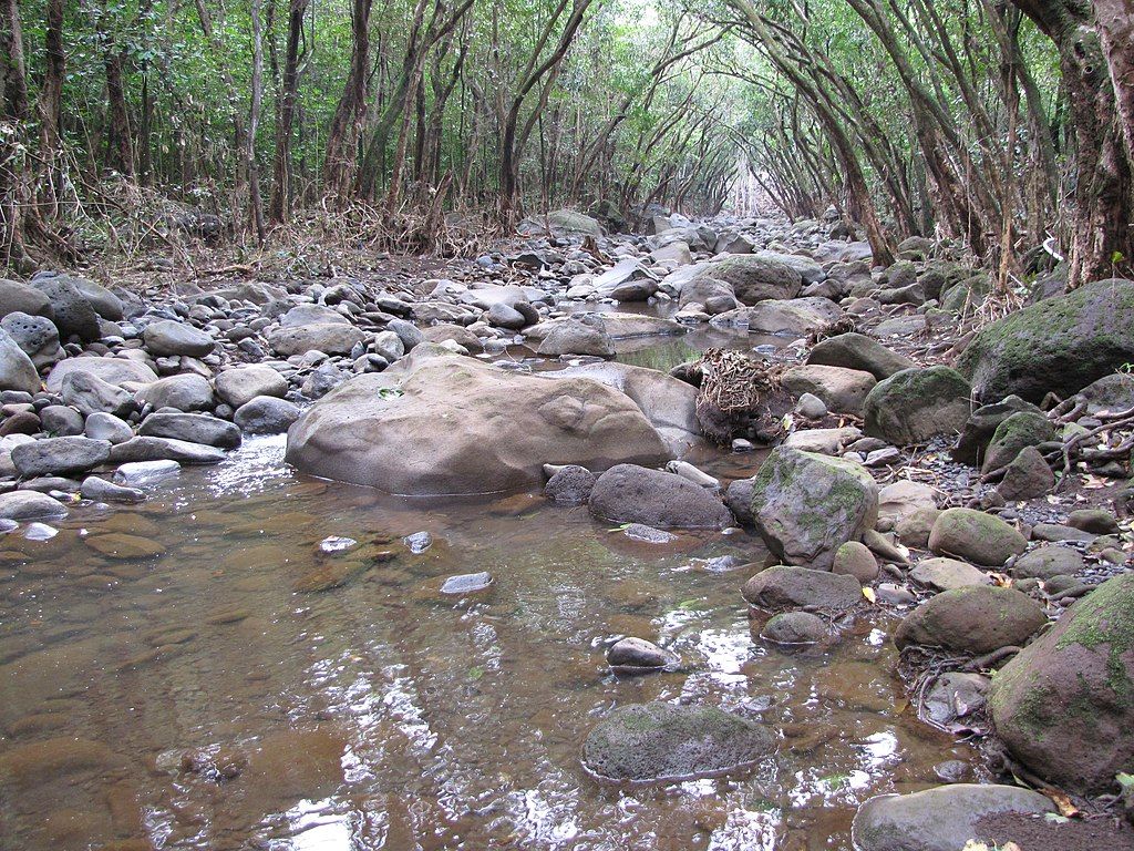 The waters of Maliko Gulch
