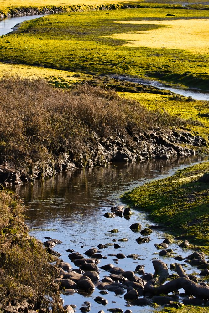 View of Carpinteria Salt Marsh Nature Park