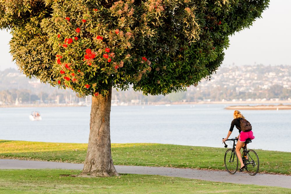 A person riding a bike at mission beach
