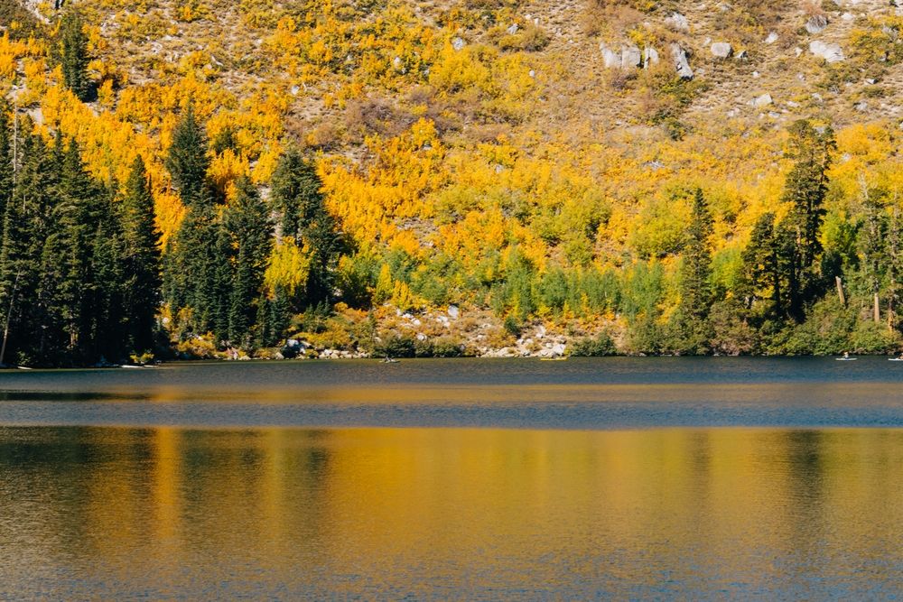 Fall Season at Mammoth
