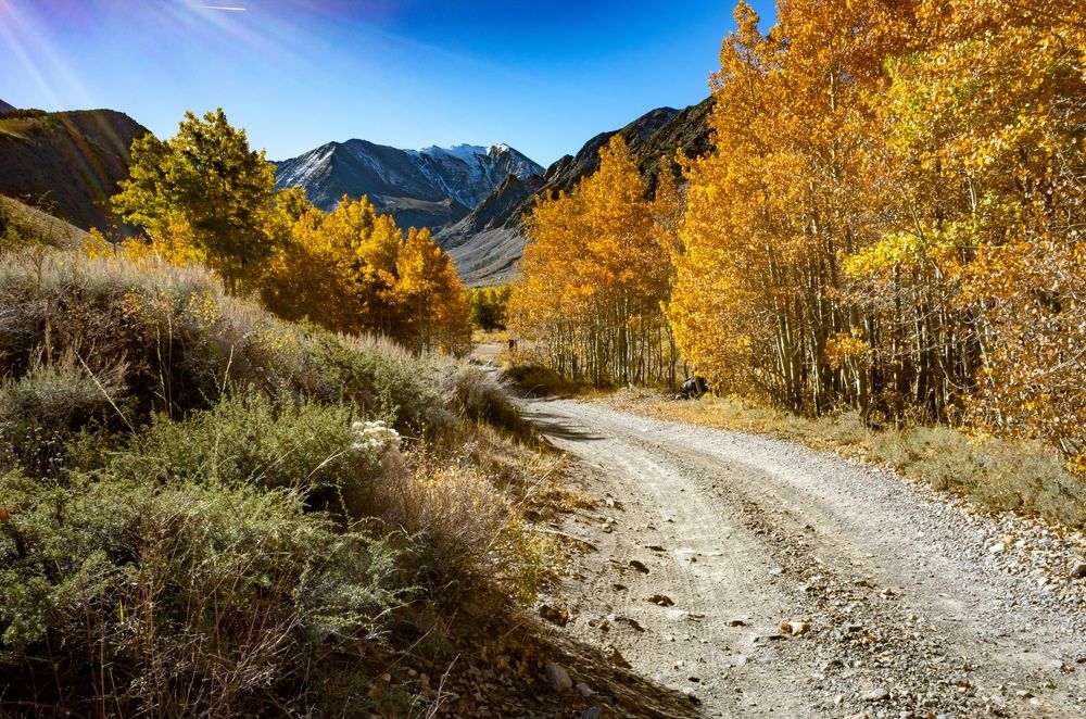 Trail at Mammoth Lake lined with Fall-colored trees