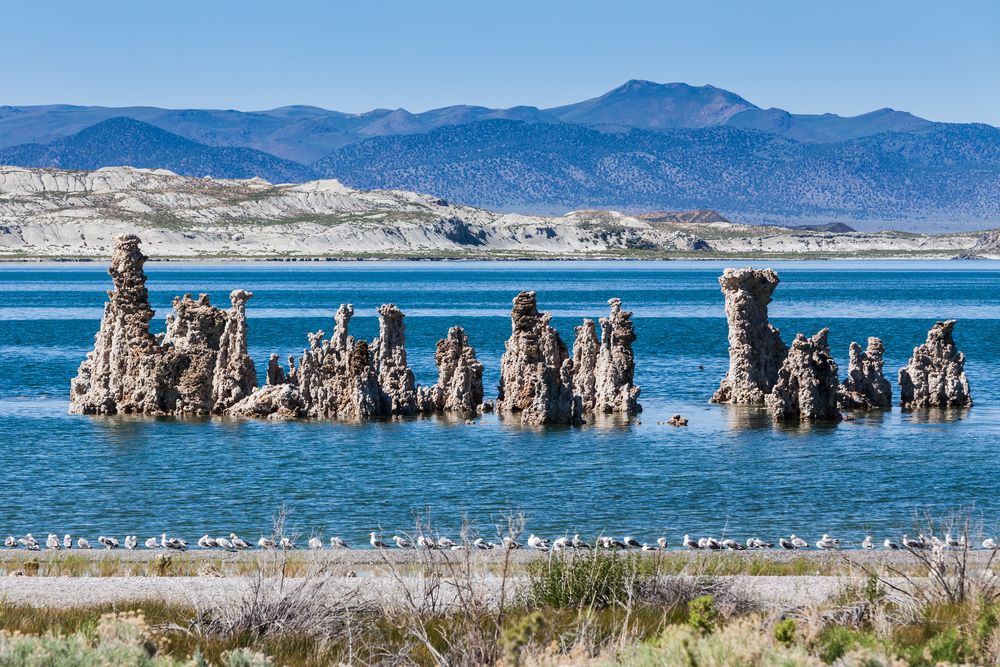 Rock formations on Mono Lake