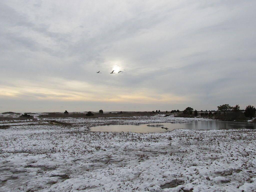 Winter view of South Cape Beach State Park