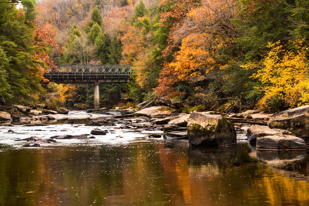 A bridge over the waters of Swallow Falls State Park
