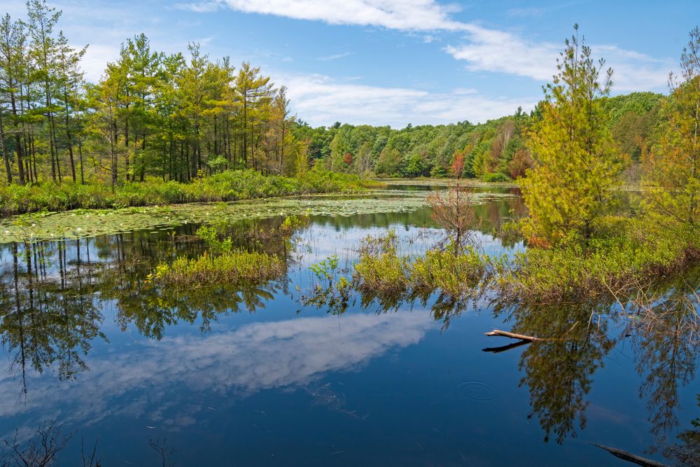 The waters of Muskegon State Park