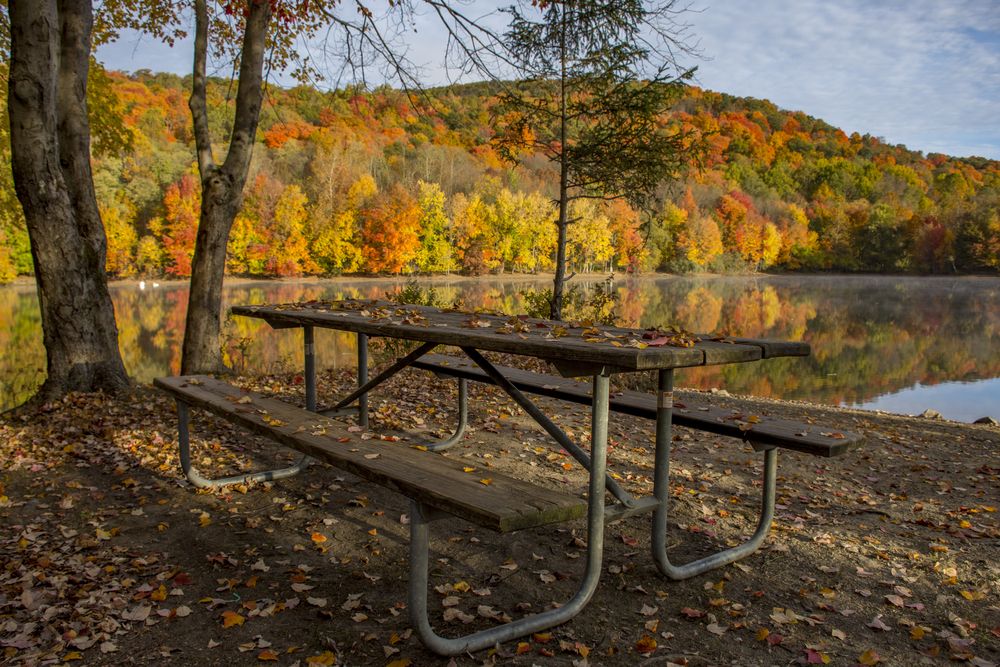Picnic table at Ramapo Valley County Reservation