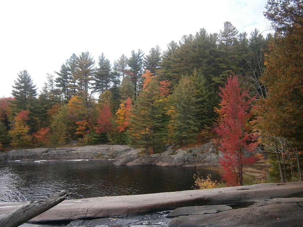 The waters of Grasse River