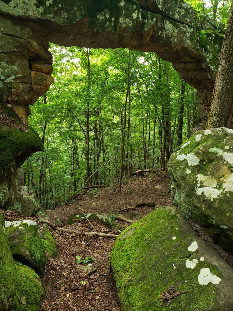 Stone arch of Sewanee Natural Bridge, and the trees around it.
