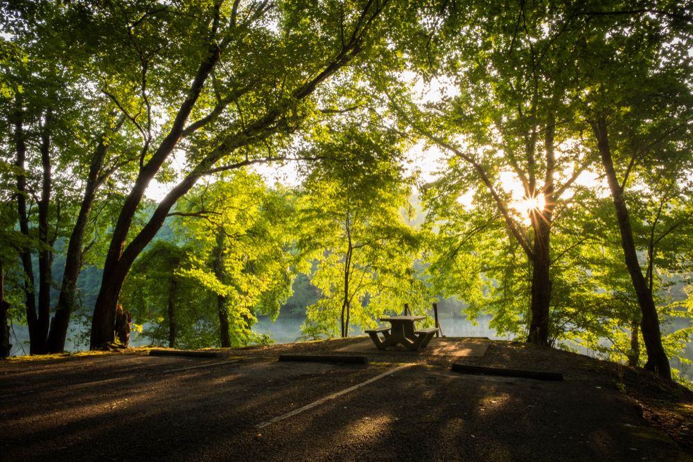 Picnic area at South Cumberland state park.