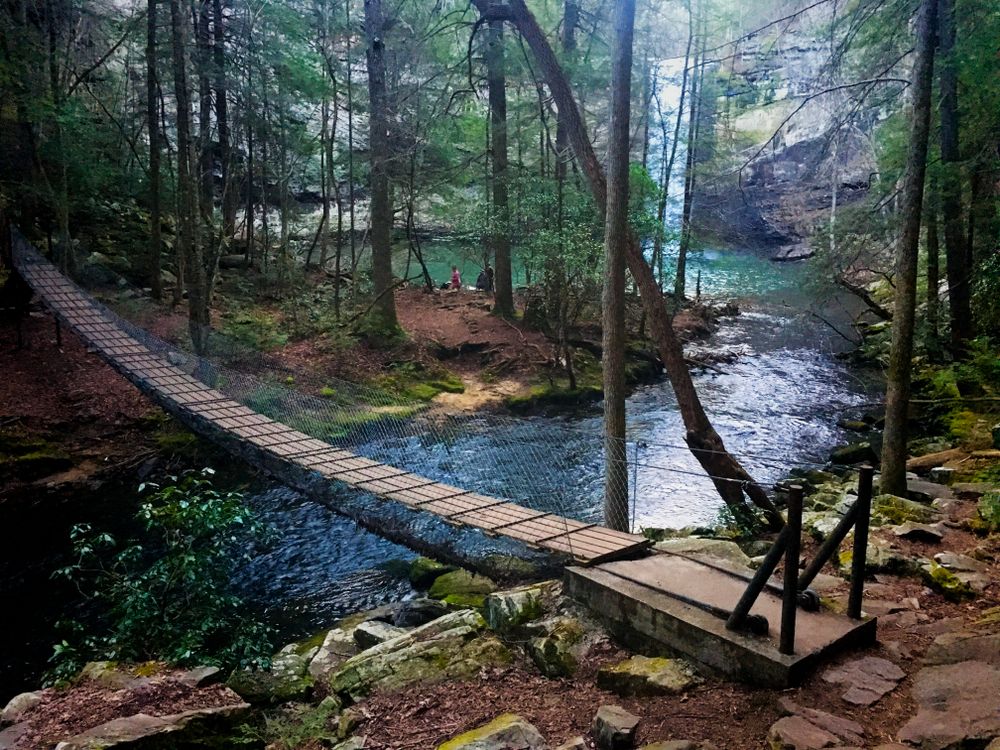 A footbridge and trees at South Cumberland state park.