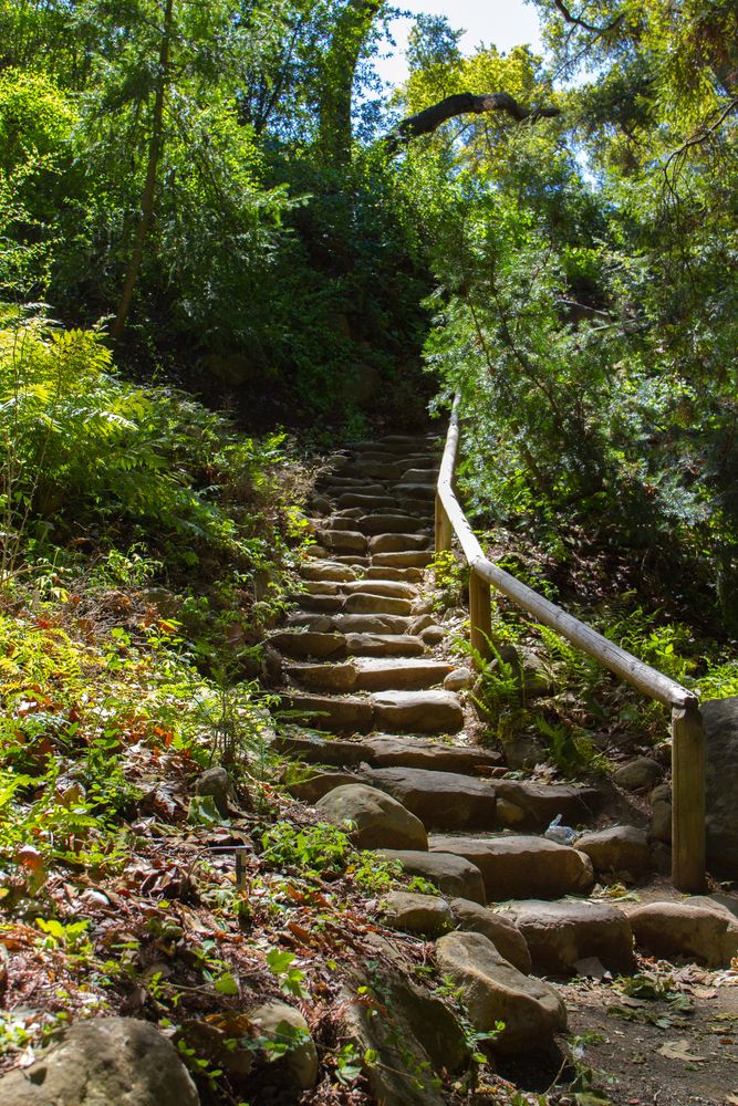 Rock stairs at Santa Barbara Botanic Garden