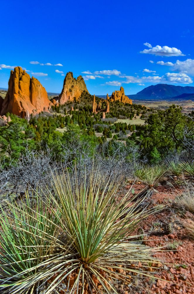 Beautiful landscape at Garden of the Gods.
