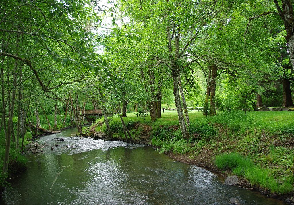 A creek at Ed Grenfell Park