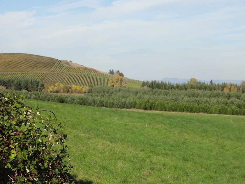 Scenic view from Erratic Rock State Natural Site