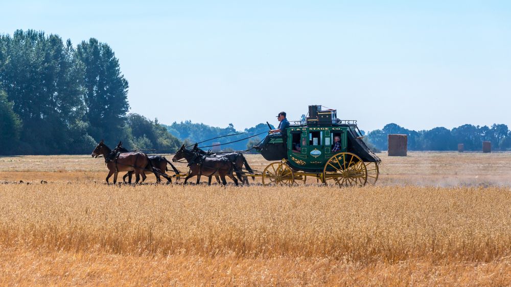 A vintage stagecoach on Yamhill Valley Heritage Center's hay field