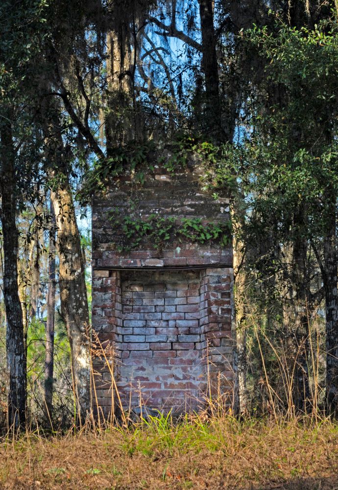 View of Chinsegut Wildlife and Environmental Area
