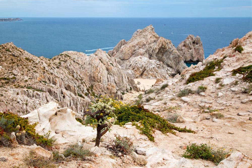 Trail along Mt. Solmar