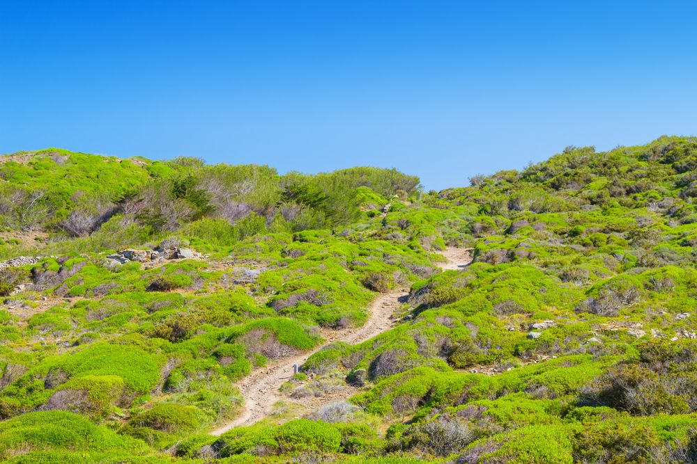 Beautiful hiking trail of Cami de Cavalls