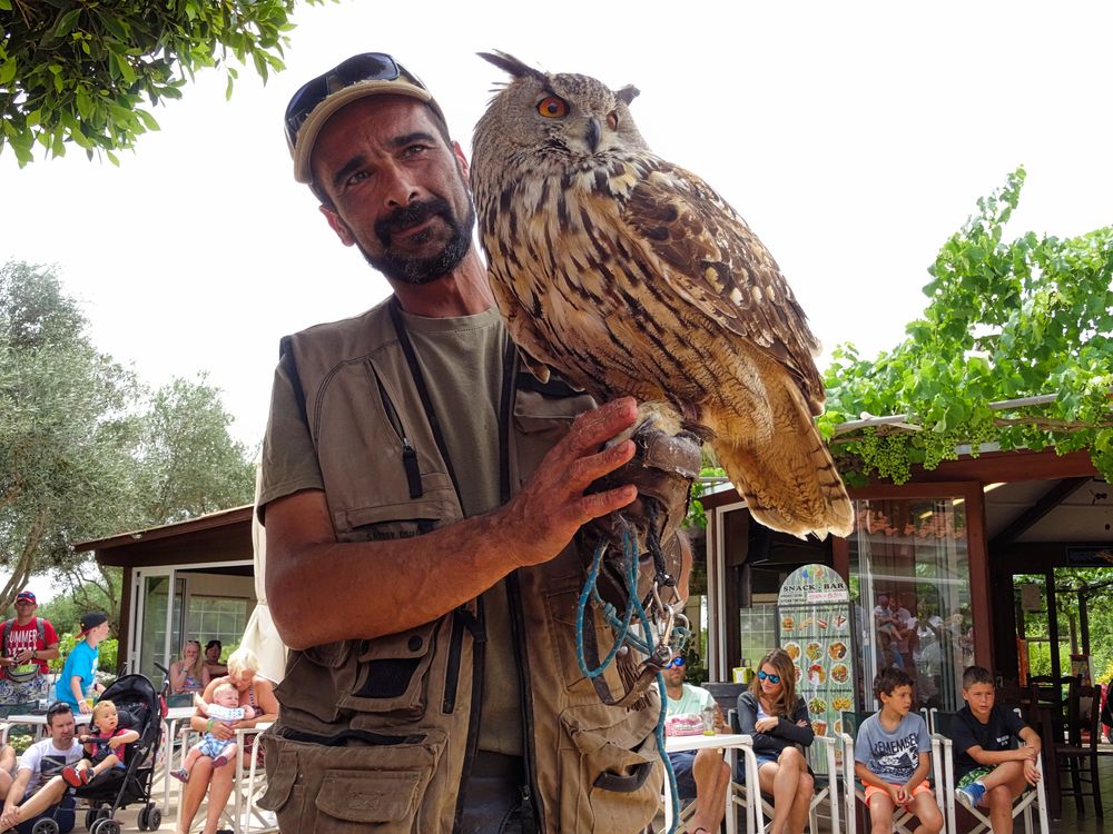 A bird keeper holding a howl at Lloc de Menorca