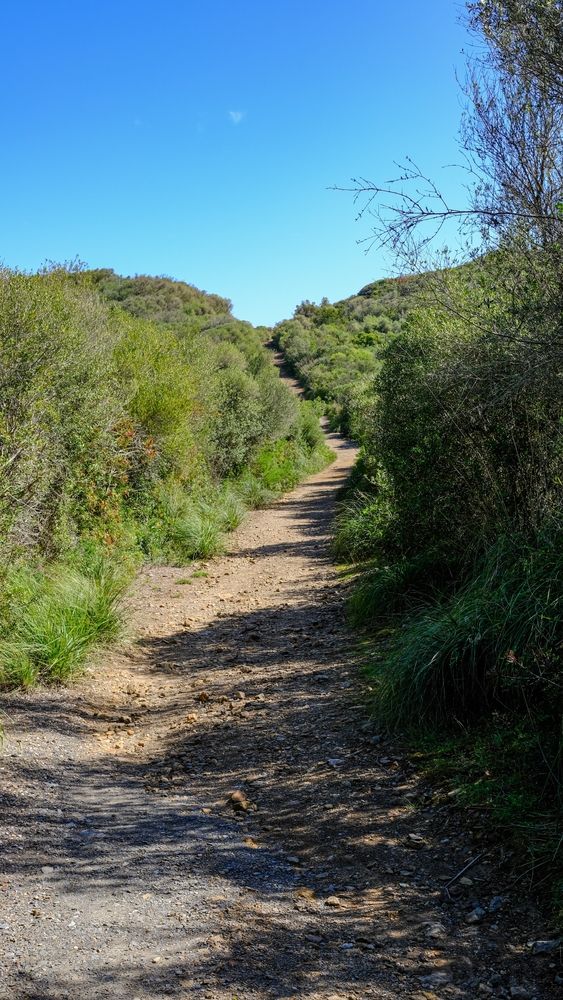 A trail at Nature Parc of S'Albufera des Grau