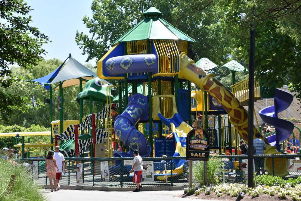 A playground at Franklin Zoo