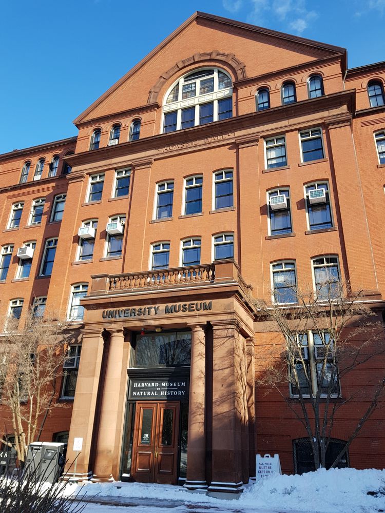 Exterior of the Harvard Museum of Natural History