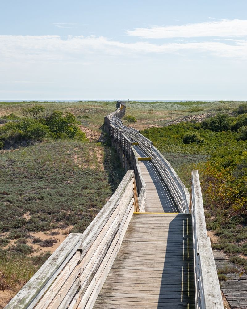 Boardwalk trail at Parker River National Wildlife Refuge