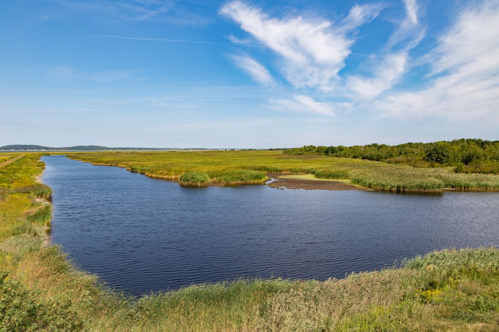 Saltwater marsh at Parker River National Wildlife Refuge
