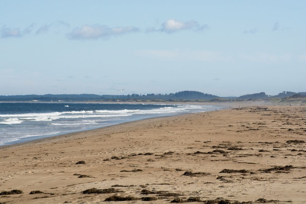 Sunny day at Plum Island Beach
