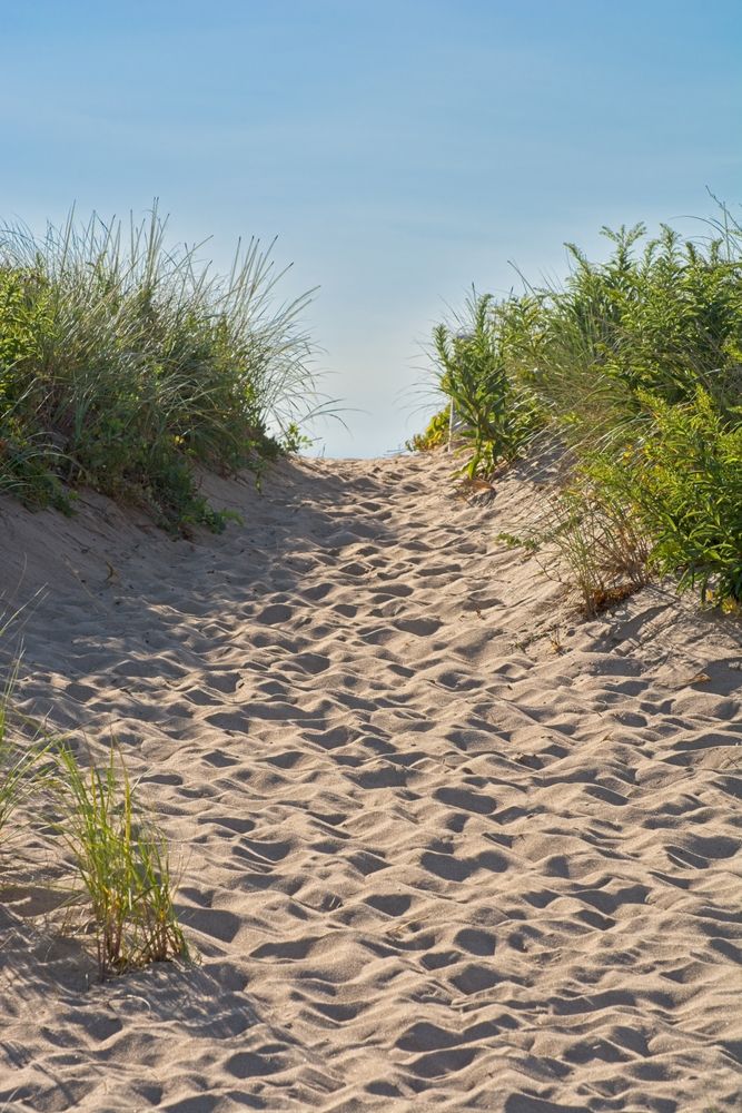 Sand of Plum Island Beach